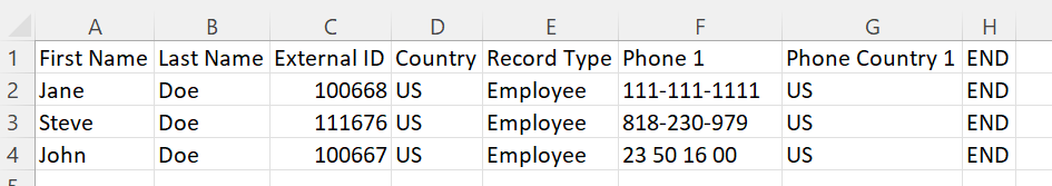 Invalid Phone Number CSV