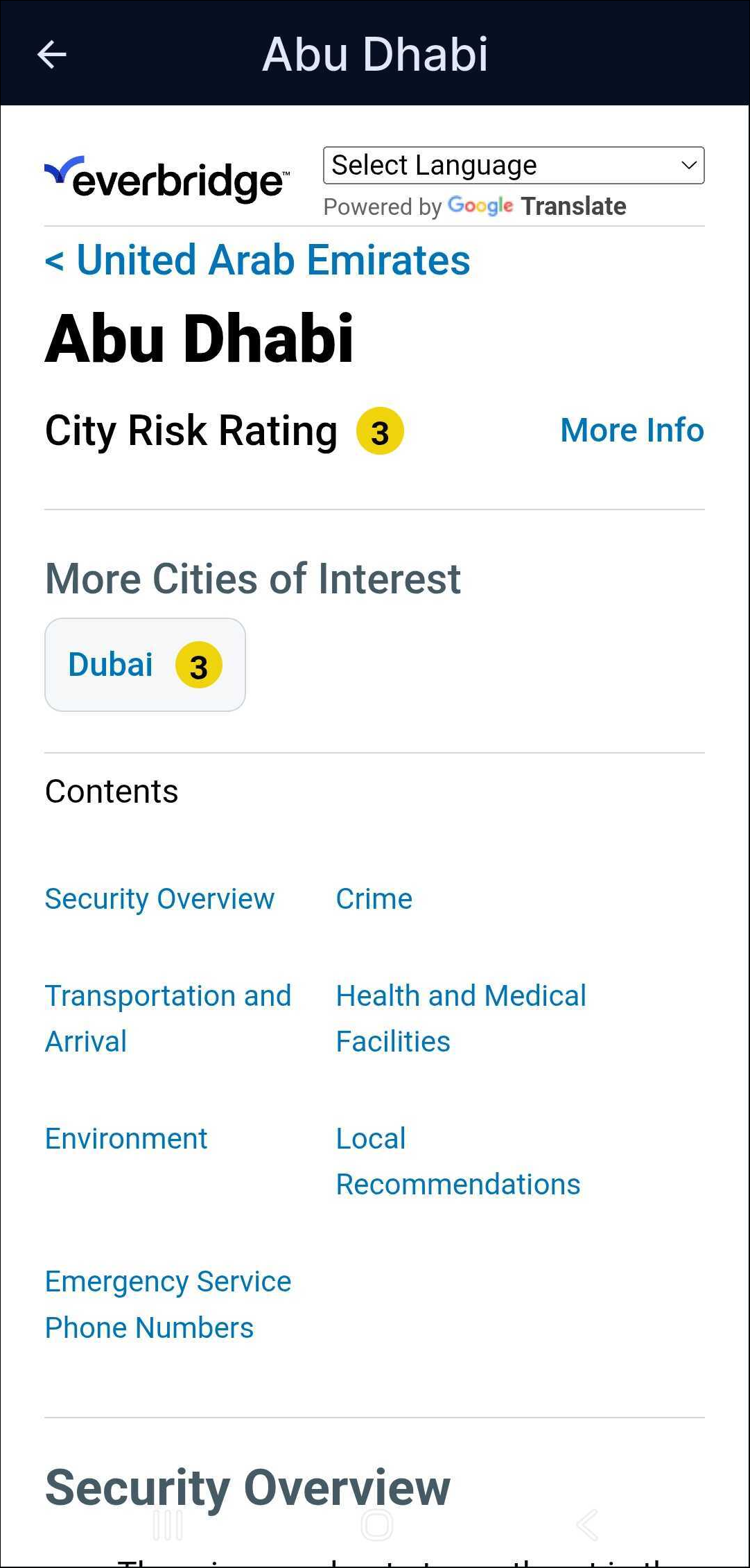 City Report.png